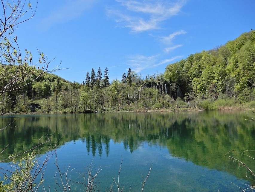 Photo taken by Dr. Szeto Kwok Yip